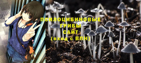 прущие грибы Лагань
