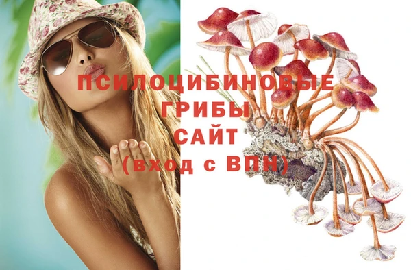 каннабис Абаза