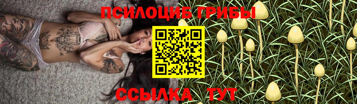 наркотики  Галлюциногенные грибы Psilocybine cubensis  Вход с VPN  Старый Оскол 