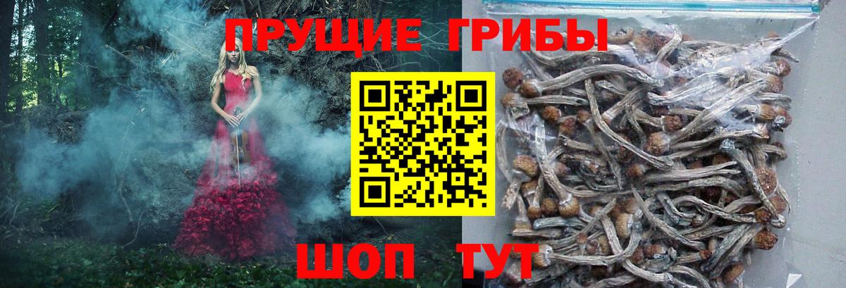 Псилоцибиновые грибы мицелий  Старый Оскол 